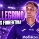 Mateo Pellegrino Fiorentina transfer fee from Parma